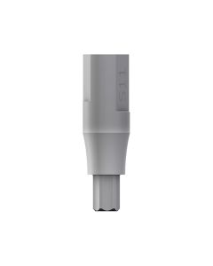 SKY scan abutment 11